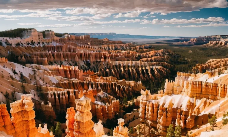 Are There Bears In Bryce Canyon?