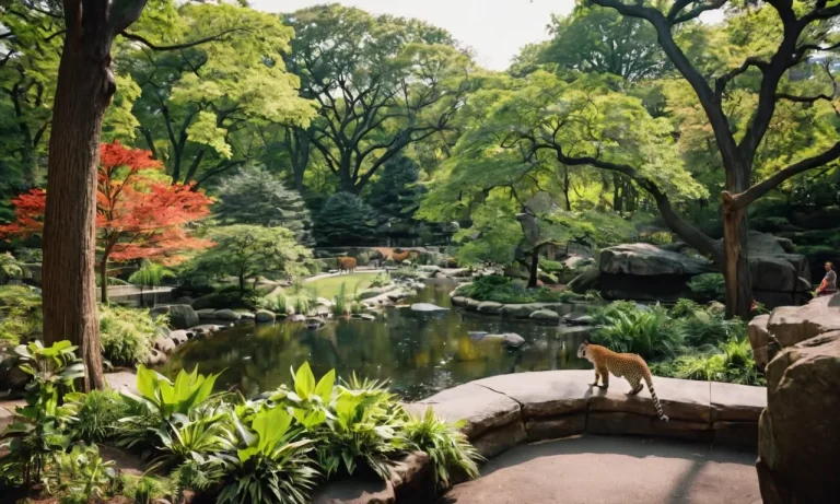 Bronx Zoo Vs Central Park Zoo: Which Zoo Is Better For You?