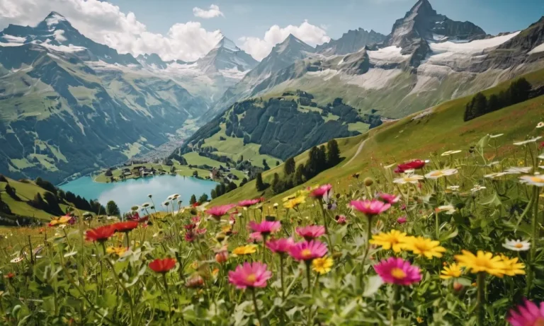 Welcome To Switzerland: A Visitor’S Guide