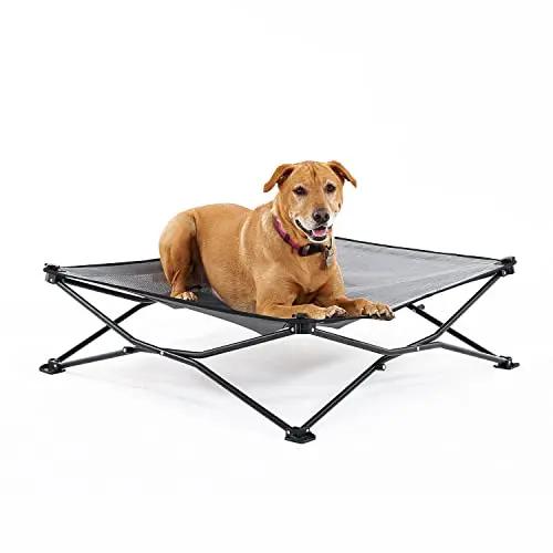 Coolaroo elevated dog bed in steel gray color with pop-up design